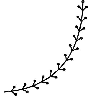 وکتور حاشیه گل