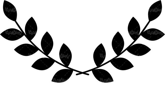 وکتور حاشیه گل