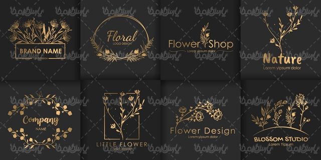 وکتور فریم گل