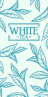 وکتور والپیپر