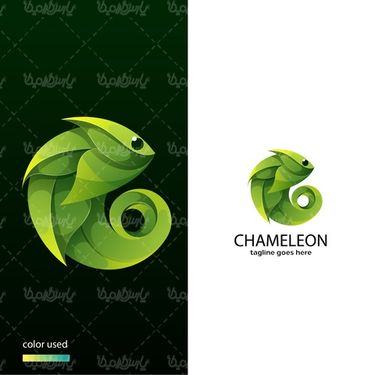 Chameleon vector