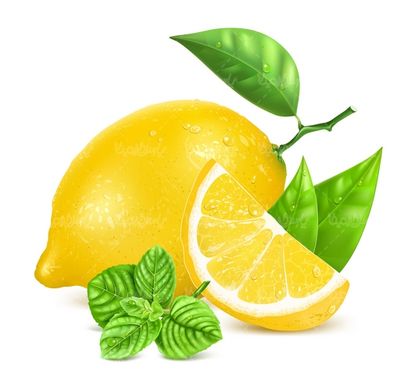 Vector lemon