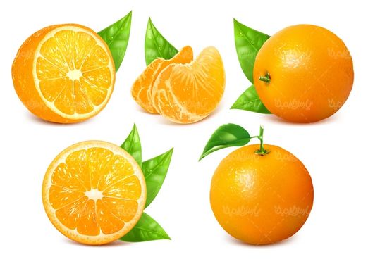 وکتور پرتقال