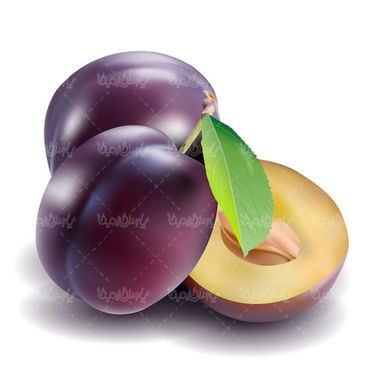 وکتور آلو سیاه