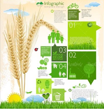 وکتور اکولوژی