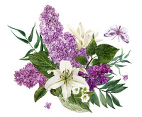 وکتور گل و بوته