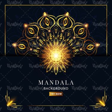 وکتور حاشیه گل