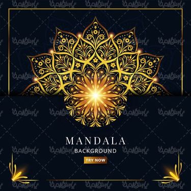 وکتور حاشیه گل