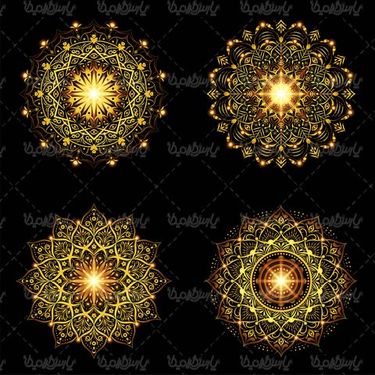 وکتور حاشیه گل