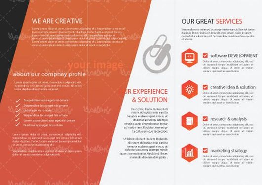 وکتور طرح خام