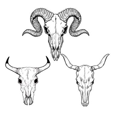 وکتور بز کوهی