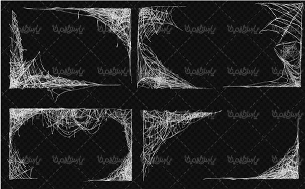وکتور تار عنکبوت