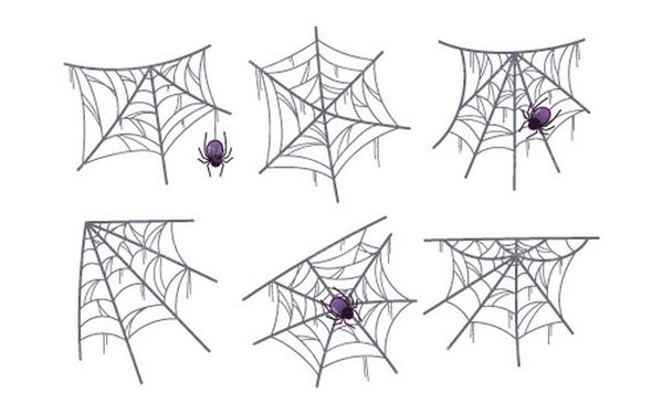 وکتور تار عنکبوت