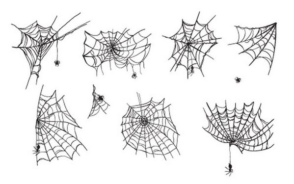 وکتور تار عنکبوت