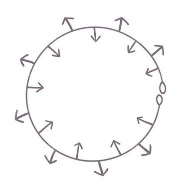 وکتور فریم گل
