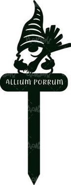 وکتور پیازچه