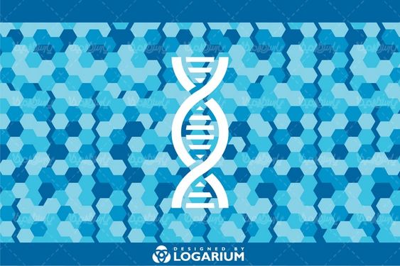 وکتور دی ان ای