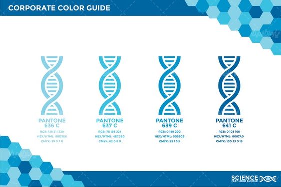 وکتور دی ان ای