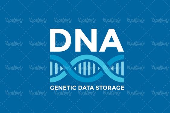 وکتور دی ان ای