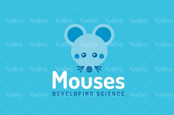 Mouse vector
