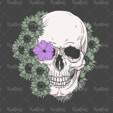 وکتور جمجمه