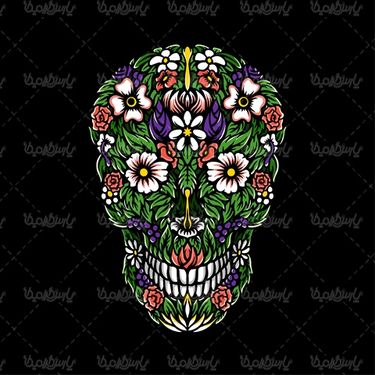 وکتور جمجمه