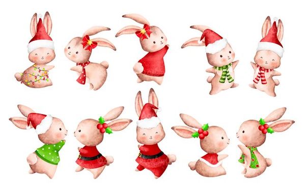 وکتور خرگوش