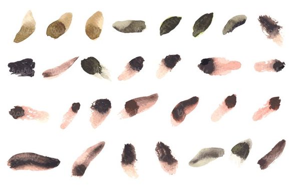 وکتور لیبل تکسچر