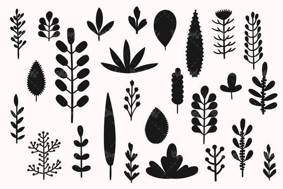 وکتور گل سیاه قلم