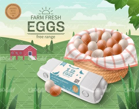 وکتور برداری تخم مرغ محلی همراه با مزرعه کشاورزی و شانه تخم مرغ