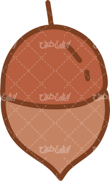 وکتور برداری میوه بلوط همراه کارتون و برنامه کودک