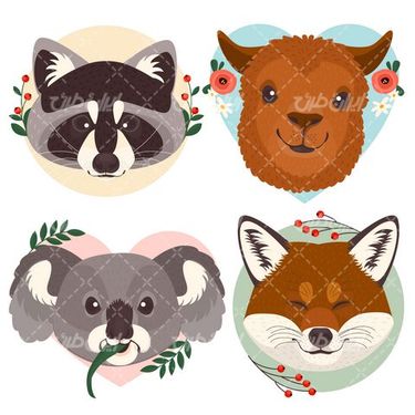 وکتور برداری کوالا همراه با برنامه کودک و سر حیوانات