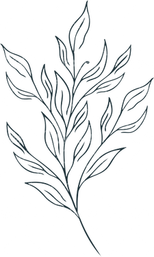 وکتور برداری طرح خالکوبی به همراه طرح تتو و گل و بوته