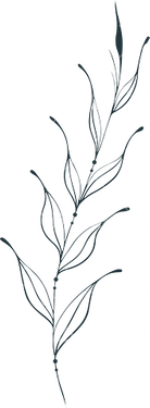 وکتور برداری طرح خالکوبی به همراه طرح تتو و گل و بوته