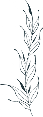 وکتور برداری طرح خالکوبی به همراه طرح تتو و گل و بوته