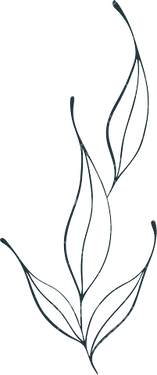 وکتور برداری طرح خالکوبی به همراه طرح تتو و گل و بوته