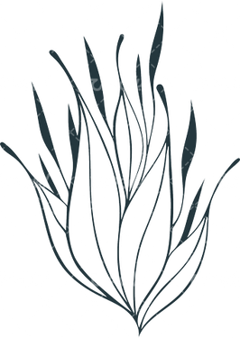 وکتور برداری طرح خالکوبی به همراه طرح تتو و گل و بوته