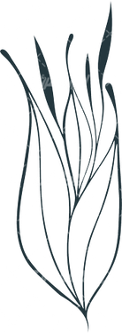 وکتور برداری طرح خالکوبی به همراه طرح تتو و گل و بوته