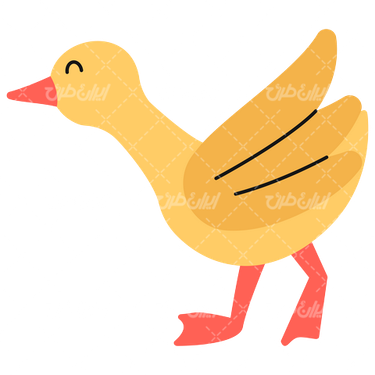 Duck vector