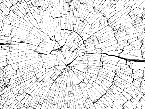 وکتور برداری تکسچر همراه با پس زمینه و تصویر زمینه