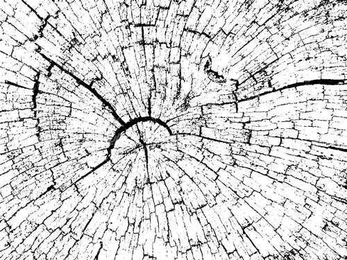 وکتور برداری تکسچر همراه با پس زمینه و تصویر زمینه