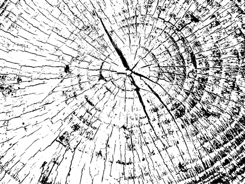 وکتور برداری تکسچر همراه با پس زمینه و تصویر زمینه