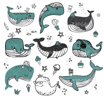 وکتور برداری نهنگ همراه با برنامه کودک و کارتون حیوان دریایی