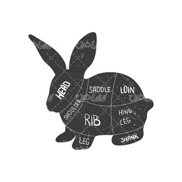 وکتور خرگوش