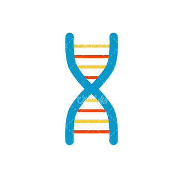 وکتور دی ان ای