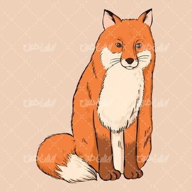 وکتور روباه