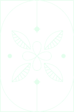 وکتور برداری المان طراحی همراه با عناصر طراحی و گل